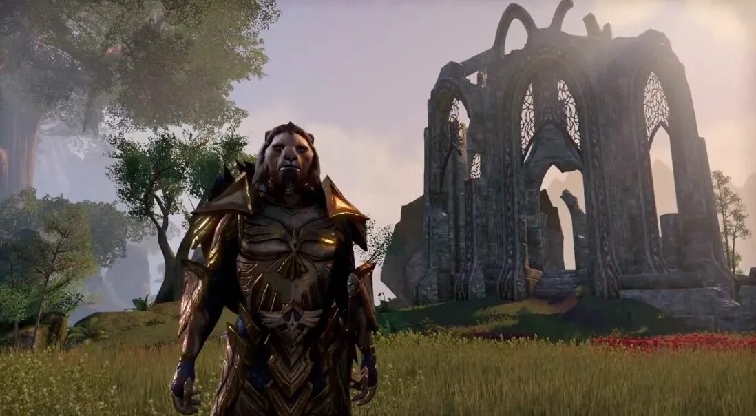 The elder scrolls online каджит.