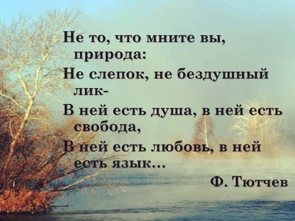 Прямое в человеке есть душа