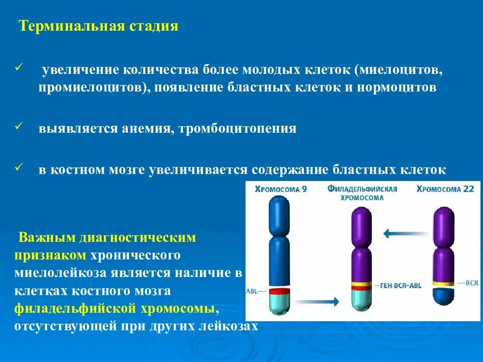 Терминальная стадия рака что. Терминальная стадия лейкемии. терминальная стадия хронического лейкоза. хронический миелолейкоз терминальная стадия симптомы. осложнения терминальной стадии хронического лейкоза.