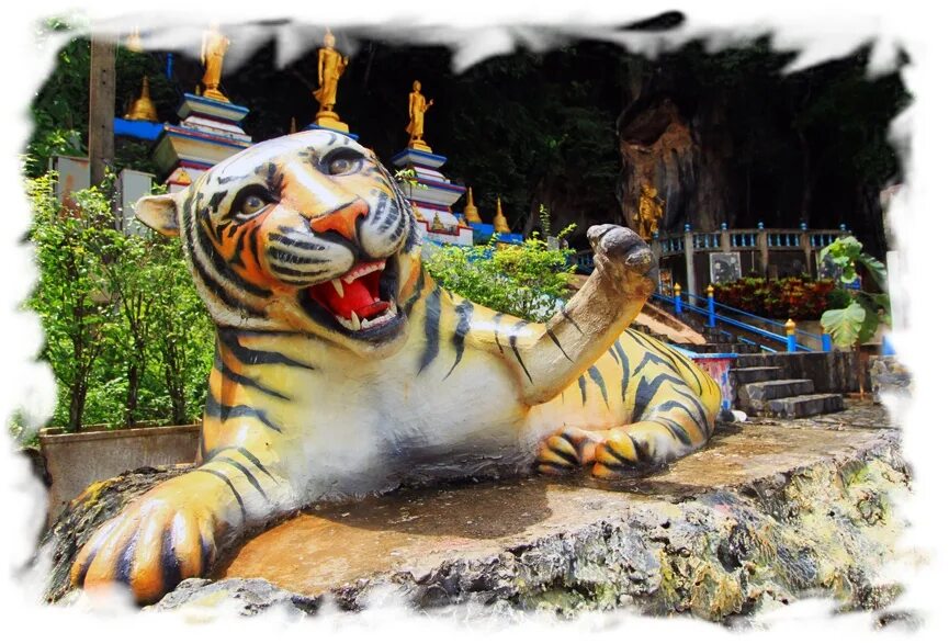храм тигра в тайланде. китай храм тигра. храм пещера тигра. тигриный монастырь, тайланд. храм тигра краби.