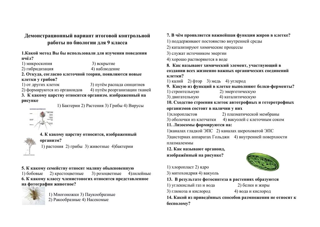 Итоговые проверочные работы 9 класс биология. Итоговая проверочная по биологии 9 класс. Итоговый проект по биологии. Демонстрационный вариант итоговой работы. Биология годовая контрольная