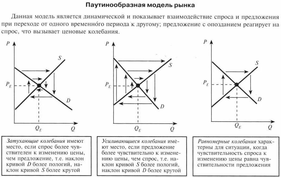 Три ситуации на рынке. Паутинообразная модель рыночного равновесия. Паутинообразная модель формирования равновесия. Паутинообразная модель устойчивого равновесия. Динамическая модель рынка. Паутинообразная модель..