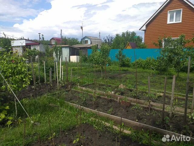 Купить дачу снт созидатель. Ульяновск СНТ Созидатель. Дача СНТ Созидатель Ульяновск. СНТ Созидатель Чердаклинский район Ульяновской. Ульяновск СНТ сады Карамзина.