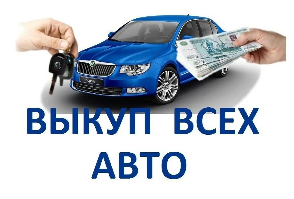 Автовыкуп область. Выкуп авто. Срочный выкуп авто. Скупка авто. Срочный автовыкуп.