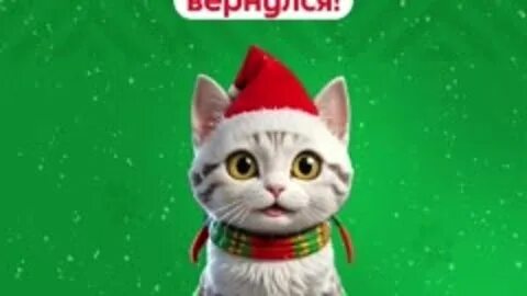 Мурлыкер кодовое слово