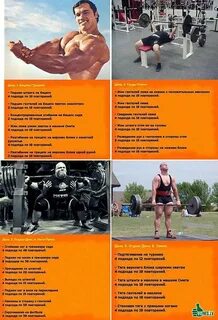 Тренажерный план на массу