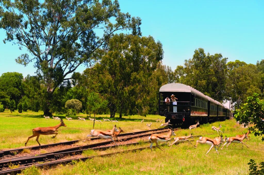 Железные дороги африки. Rovos Rail (Южная Африка). Поезд РОВОС ЮАР. Железная дорога ЮАР. Южноафриканский поезд «Pride of Africa» («гордость Африки»).