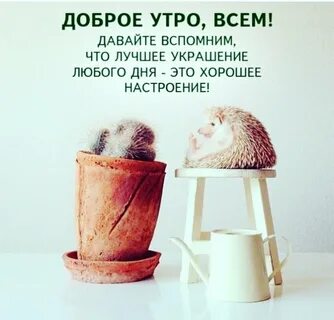 Позитивные открытки понедельник