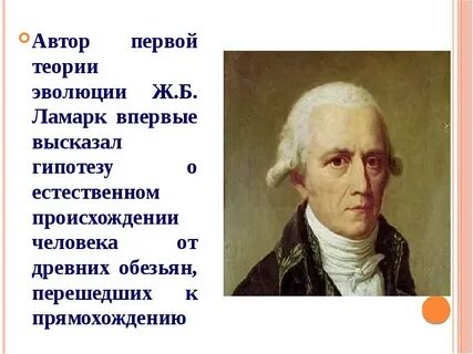 Ж ж эволюции