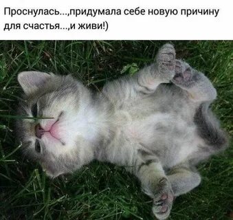 Вспылить