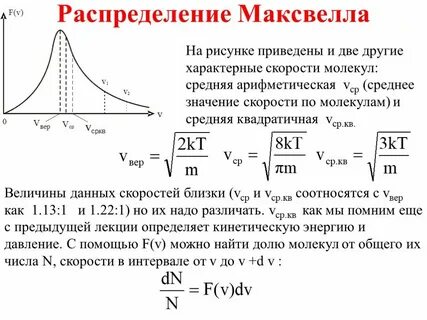 Законы распределения молекул идеального газа