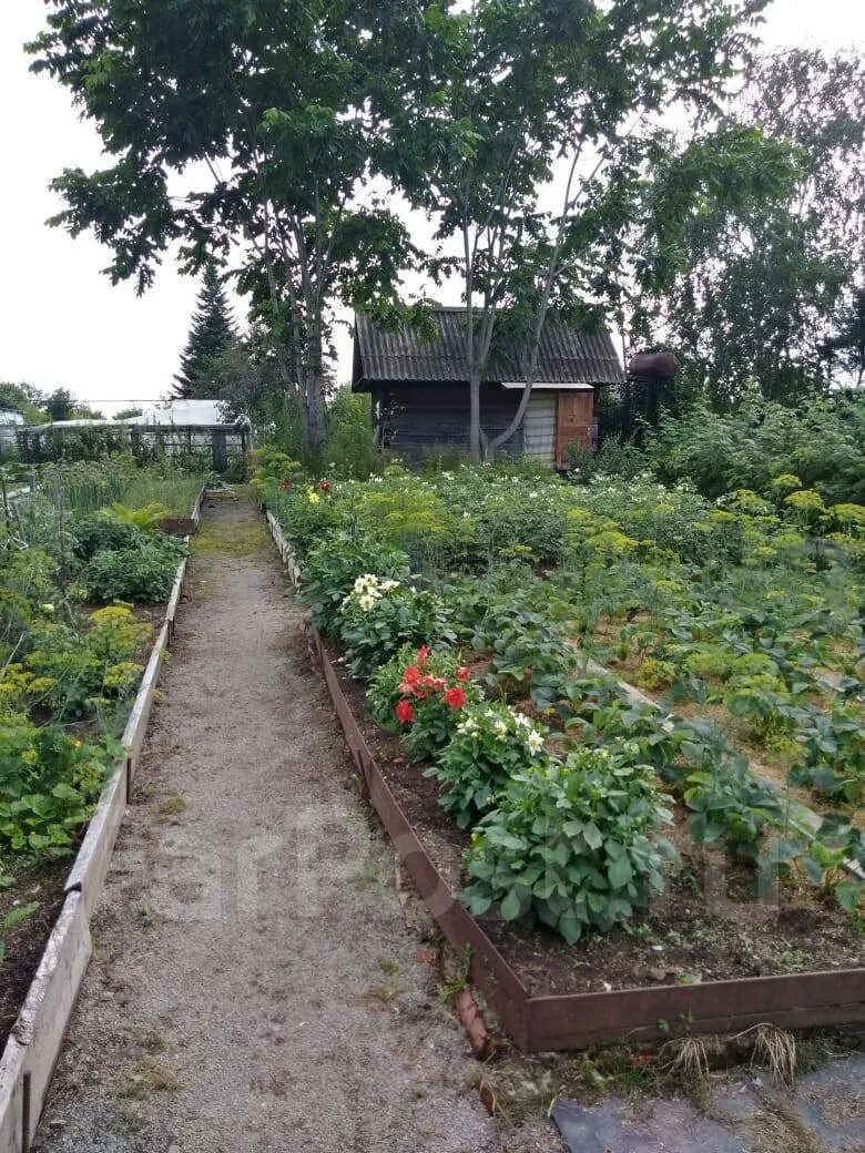 свежие дачи комсомольск на амуре. дача в комсомольске на амуре. комсомольск-на-амуре дачи 11 галичныц. комсомольск на амуре снт галичное 5км дачи лунная 74. садоводства на хумми комсомольск на амуре.