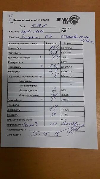 Какие анализы крови показывают почки. Мор анализ. Мор анализ крови. Мор анализ крови расшифровка. Кровь на мор расшифровка.