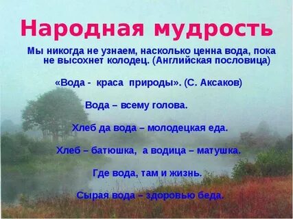 Пословица о бережном отношении