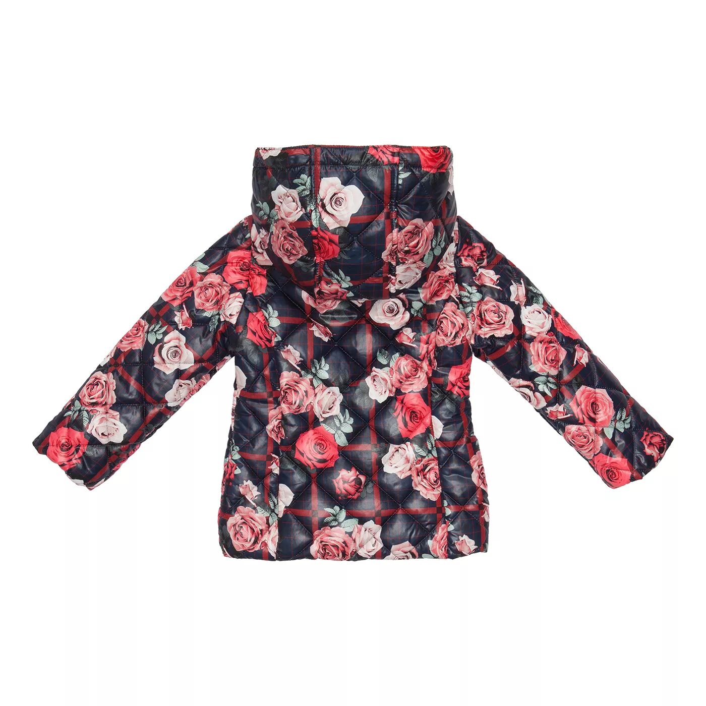 Куртка acoola 20220610017. Куртка акула. Куртка acoola 20120130168. Куртка для девочек acoola 118295. Куртка mishoo by acoola 21401710-jj.