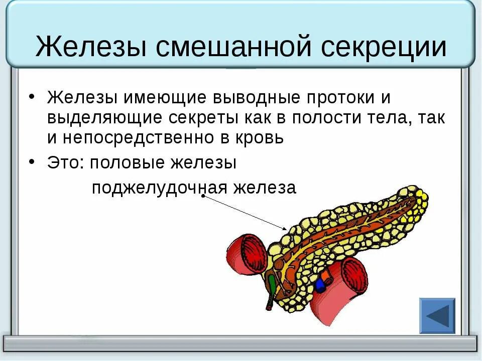 Определите смешанную железу