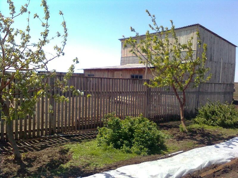 Погода в бриенте. Бриент Кваркенский район. Село Бриент Оренбургская область. Новооренбург Кваркенский. Бриент Кваркенский район Оренбургской области.