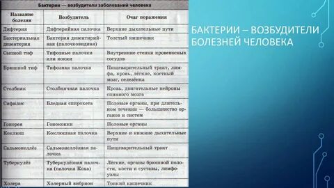 Приведите примеры бактериальных заболеваний