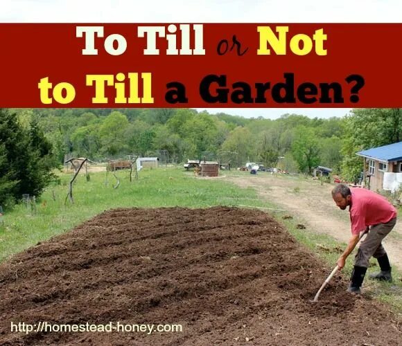 It was not till. Till garden. till.