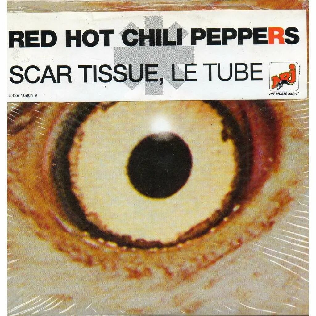 Red hot chili peppers scar. Scar Tissue Red hot Chili Peppers. RHCP scar Tissue. Red hot Chili scar Tissue. Scar Tissue клип.