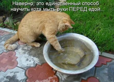 Посиди покушай