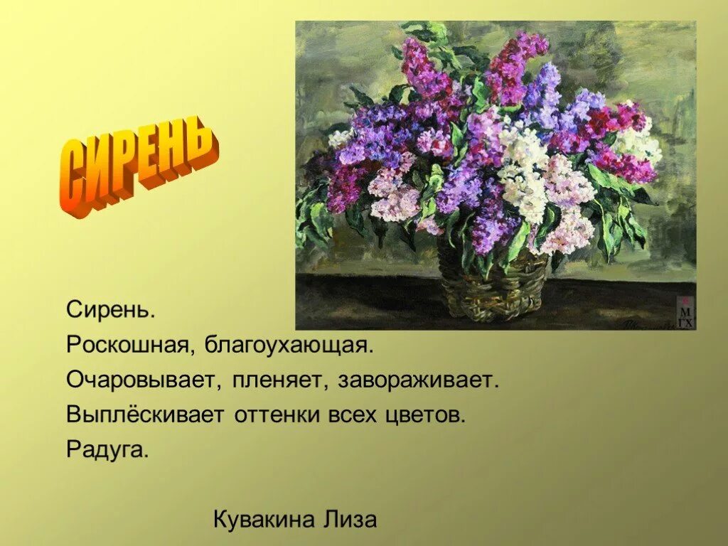 Сочинение п картине сирень 5 класс. П Кончаловский сирень в окне. Сирень в корзине Кончаловский. Картина сирень в корзине Кончаловского.