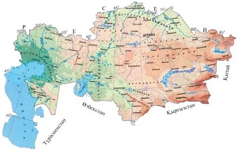 Жылтыр леггинстердегі әйелдердің фотосуреттері