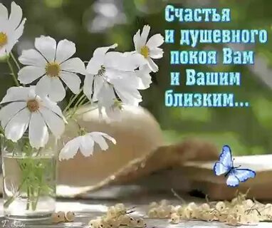 Утро благо