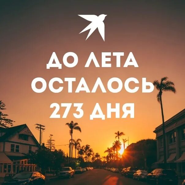 Дней до лета 2015. Лето осталось. До лета осталось дней. До лета осталось 4 дня картинки. До лета осталось 273 дня.