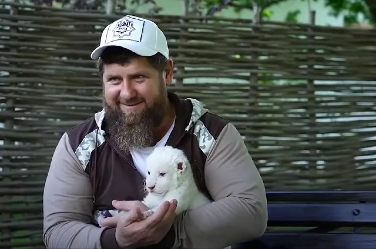 Чечня рамзан кадыров. Львы кадырова. Зоопарк рамзана кадырова. Клип про путина и кадырова под песню слава богу слава аллаху. Рамзан с тигром.