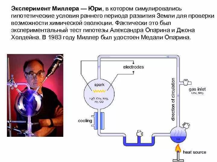 Эксперимент Стэнли Миллера. Эксперимент Миллера Юри и теория Опарина Холдейна. Опыты Миллера и Юри (1953). Эксперимент Миллера - Юри. Опыты миллера доказали