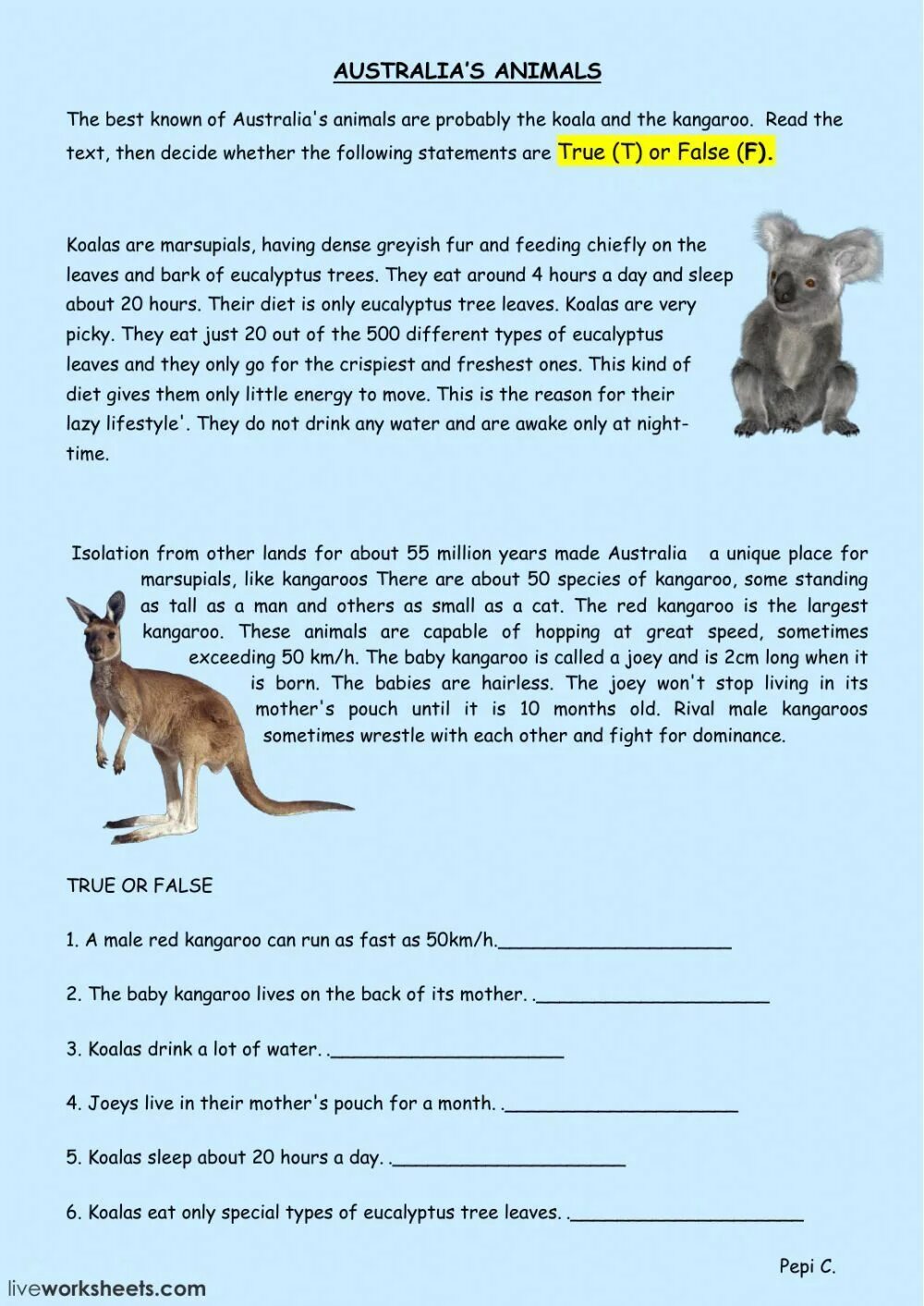 Write about a pet. Reading Comprehension животные английский для детей. Австралия Worksheets. Английский язык Австралия задания. Animals текст.