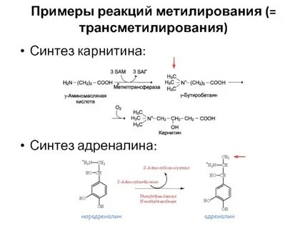 В каких реакциях участвует