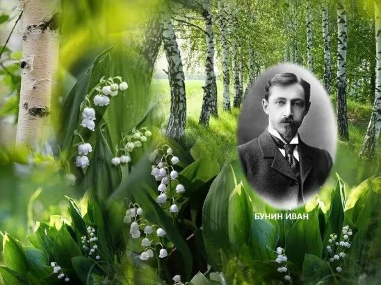 Все темней и кудрявей березовый лес зеленеет. Бунин все темней и кудрявей березовый лес зеленеет. и а бунин все темней и кудрявый берёзовый лес зеленеет. картинка к стихотворению все темней и кудрявей.