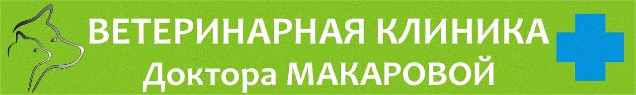 Узи центр пенза свердлова. Свердлова 4 пенза ветеринарная клиника. клиника доктора макаровой пенза. ветклиника макаровой пенза. ветклиника доктора макаровой.