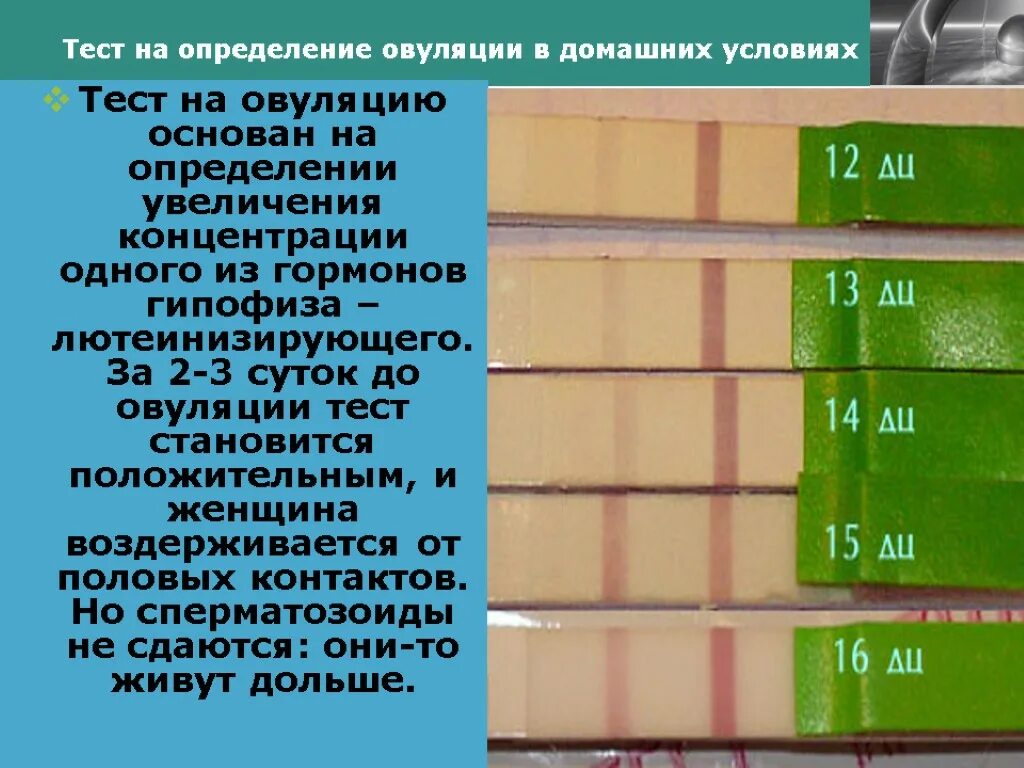 Давай овуляция. Какопределитт овуляцию. Как определить овуляцию. Как определить овуляцию в домашних условиях. Тест на овуляцию.