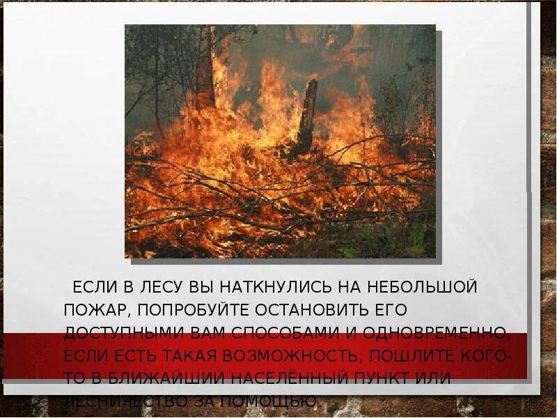 Профилактика лесных и торфяных. Лесные и торфяные пожары. профилактика лесных пожаров. профилактика торфяных пожаров. предупреждение лесных и торфяных пожаров.