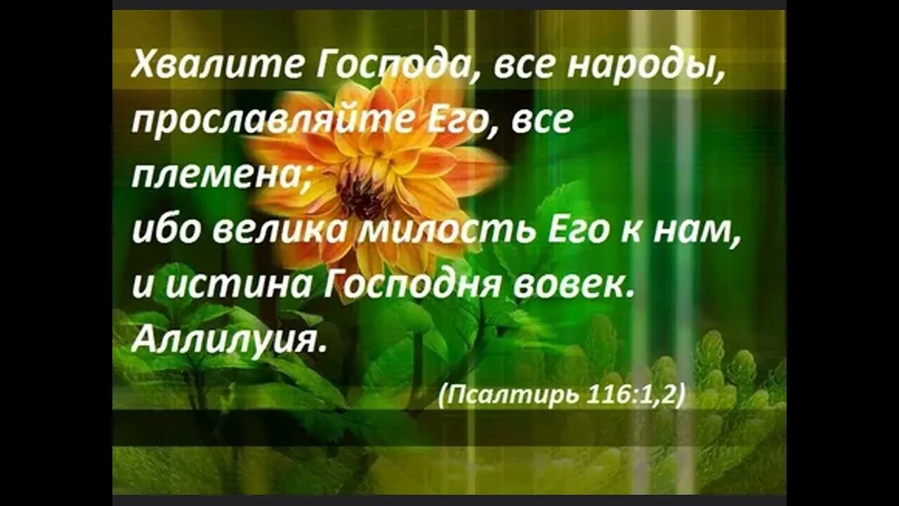 Милость божия песня