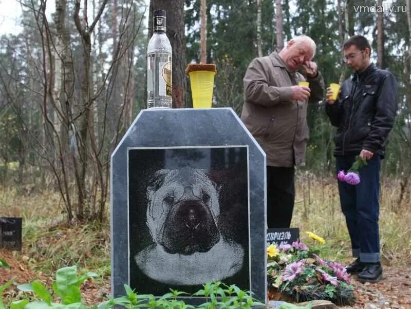 Где собака умерла. Собачьи могилки. Кладбищенские собаки.