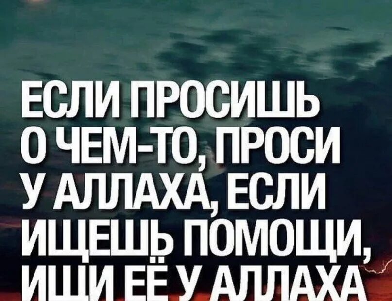 Учеба в интернете. С помощью интернета библиотеки мем. С помощью интернета либо. Помощь в интернете. С помощью интернета либо.