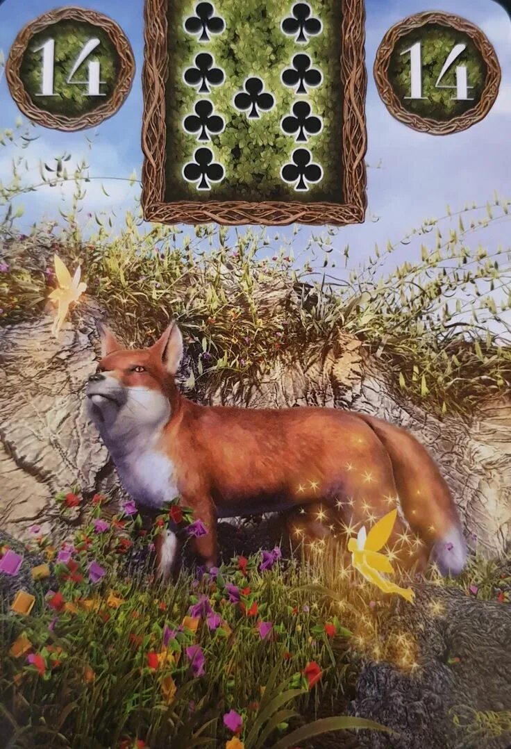 Кульпео фокс карты. Таро лисы. Игральные карты с лисами. Оракул ленорман лиса. Таро лис.