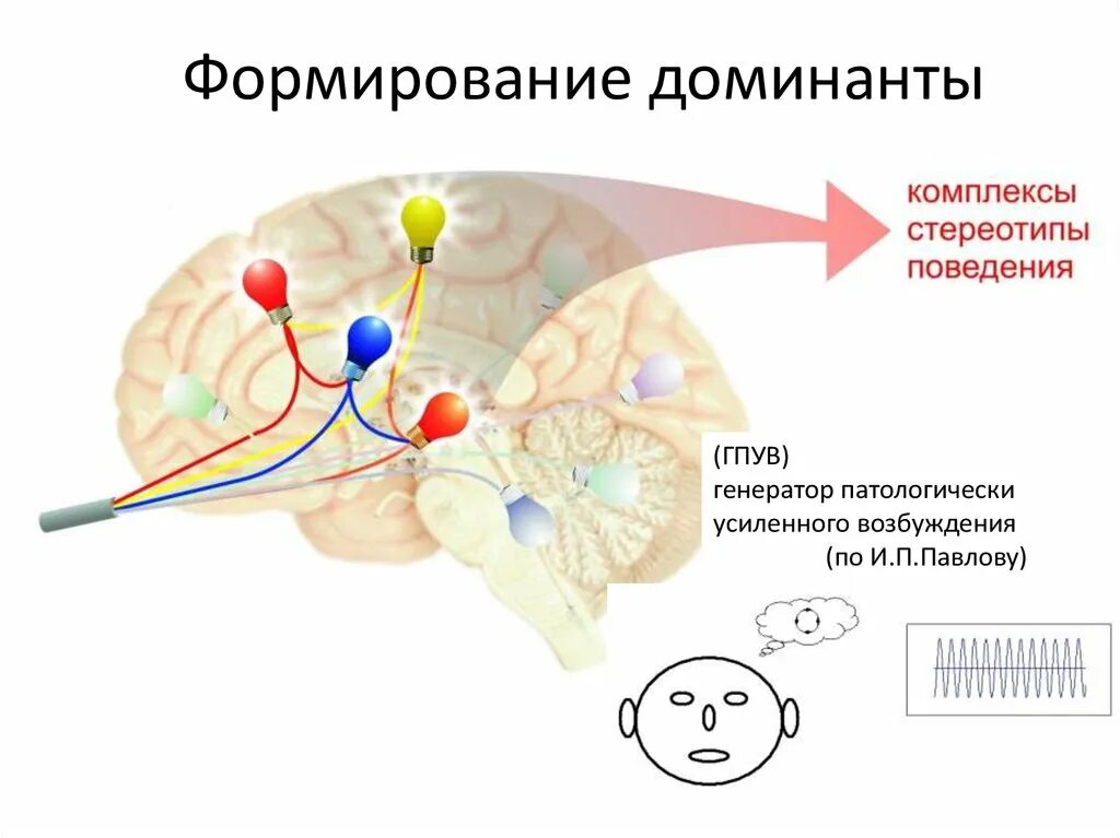 Роль доминанты. Формирование Доминанты. Генератор патологически усиленного возбуждения. Формирование генератора патологически усиленного возбуждения. Принцип Доминанты физиология.