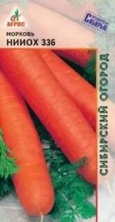 Морковь нииох отзывы