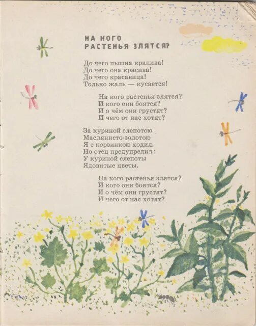 Стихотворение н матвеевой. На кого растенья злятся. Н Матвеева стихи. Солнечный зайчик Матвеева. Матвеева на кого растения злятся.