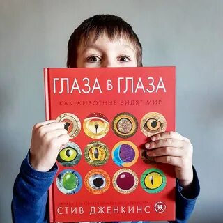 Книга глаза цвета