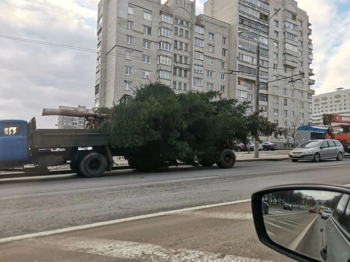 Девятовка Гродно.