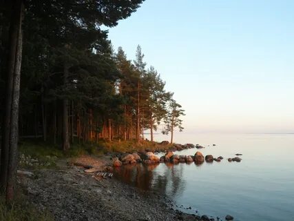 Медвежьегорск день