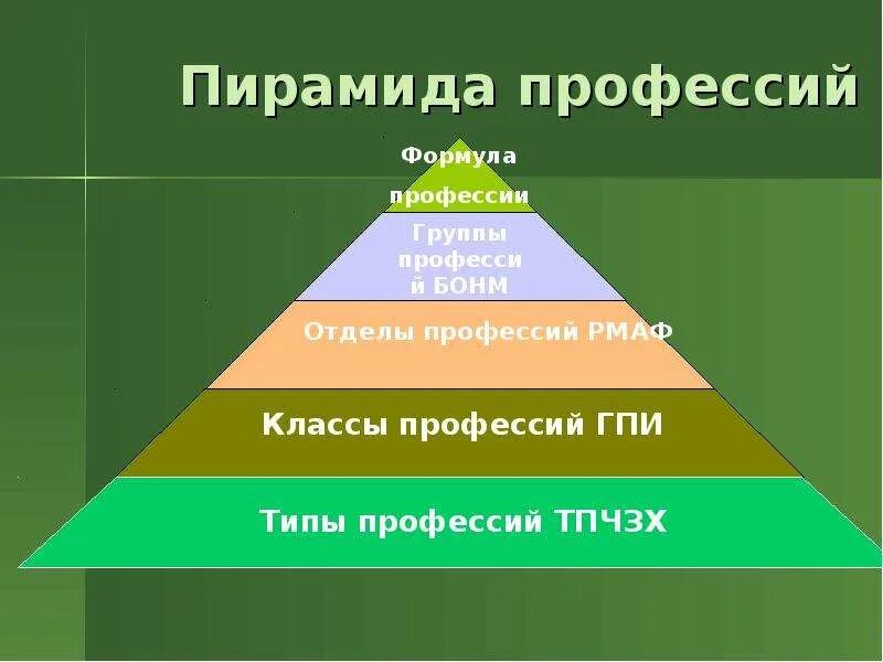 Тип класс отдел группа профессии. Пирамида профессий. классификация профессий пирамида. отделы профессий рмаф.