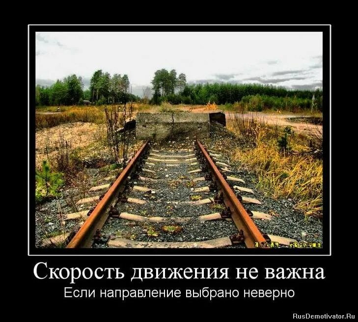 неважно с какой скоростью ты двигаешься, главное - не останавливаться. не важно с какой скоростью ты движешься. не важно с какой скоростью ты движешься главное не останавливаться. не важно на чем ты ездишь главное. кама пуля высказывания.