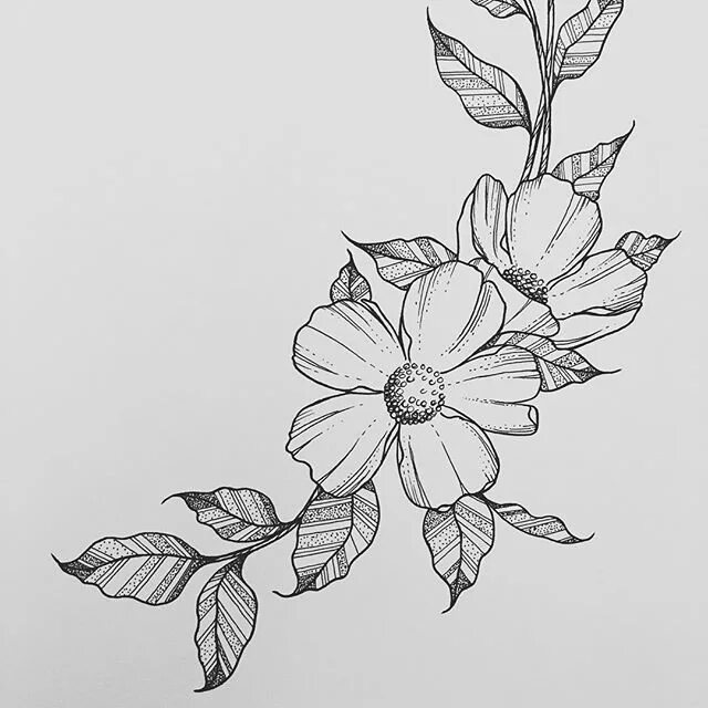Outline sketching